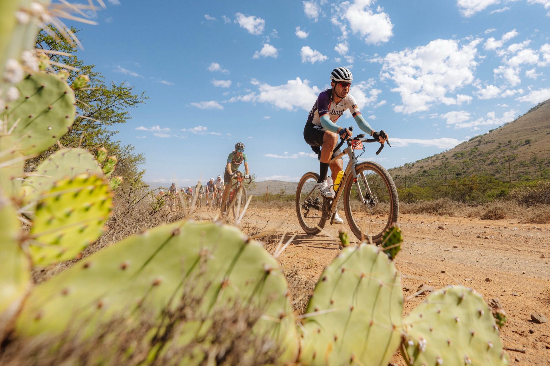 Riders on a dirt road behind a prickly pear cactus